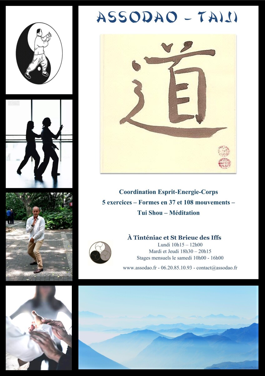Taichi Taiji AssoDao